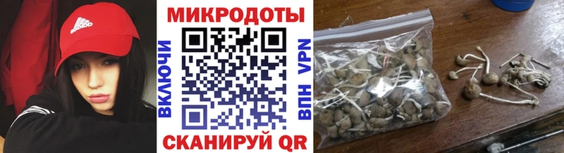 Купить  Динская  Галлюциногенные грибы мухоморы 